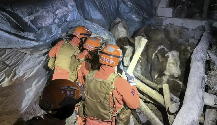Kırgızistan-Çin sınırında yaşanan 7,1 büyüklüğündeki deprem sonrası kurtarma çalışmaları sürüyor