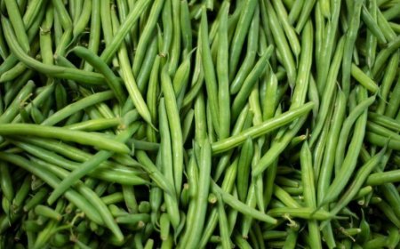 Börülce ile Gelen Şifa: Sağlıklı Yaşamın Sessiz Kahramanı